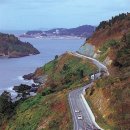 스포츠 zheng