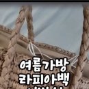 수수제이 이미지