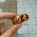 대신포장 | 부산 서면 먹거리 땅콩빵 ‘대신땅콩빵‘ 선물포장 후기