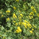 가을농장 이미지