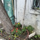 승미축사 이미지