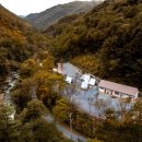 힐링포레 이미지