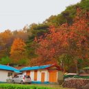 나무마당 이미지