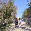 문성목장 이미지