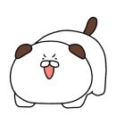 메르시 애견 펜션 이미지