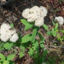 의료법인 지연의료재단 이미지