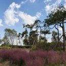 중해레저낚시터 이미지