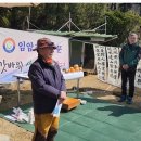 입암초등학교 이미지