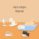 송파새날동물병원 이미지