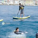 더 프렌즈 이미지