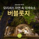 버블라운지(Bubble Lounge) | 모리셔스 버블롯지 일로셰프 vs 부아쉐리 | 숲속에서 별 보며 잠드는 특별한 추억의 이색 숙소