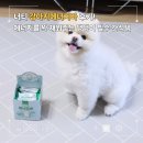 우리에너지 | 너티, 강아지닭가슴살간식으로 우리 댕댕이 에너지를 꽉! 채워준 솔직 후기