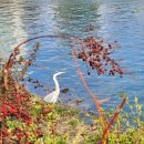 봄날부동산중개 이미지