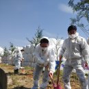 심재집농장 이미지