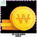 삐삐애견 이미지