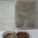 댕이랑 | 청주 유기농 강아지 화식 청주 반려견 수제간식 '댕이랜드'