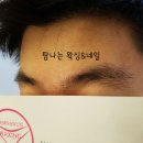 네일은아이브로우