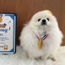 하오하개 이미지