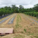 갈뫼농장 이미지