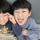 늘품태권도장 네이버블로그