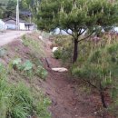 관수농장 이미지