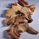 등보당한의원 이미지