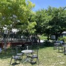 페브러리래빗 이미지