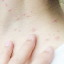 아하브어린이집 이미지