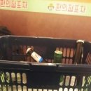 사림동305 이미지