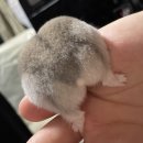 이* - 해남군 | 이*