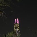 카프스시 이미지