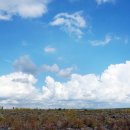 약천 산책로 이미지