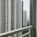 창인약품 이미지