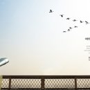 YG공인중개사사무소 이미지