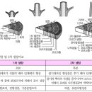 제10회 나무의사 수목생리학 필기 기출풀이
