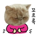 가능반점