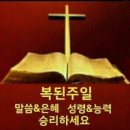 샬롬 - 종로구 율곡로17길 19 | 샬롬