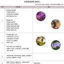 더빅디퍼
