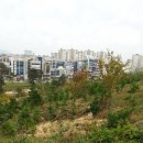 송파제일정형외과 이미지