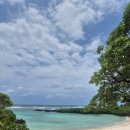 남태평양 | 로열캐리비안 남태평양 크루즈 7박 후기(브리즈번 출발)