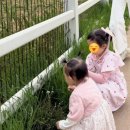 서울자전거휴게소 | 안성팜랜드 아이와 다녀온 현실 후기 (오후 1시 도착 / 전동 자전거 2번 탄 이유)