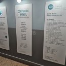 서부산동물메디컬센터 이미지