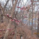 안동여자중학교 이미지