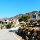 조안2리 이미지