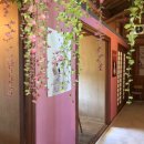 발라당눕스 이미지