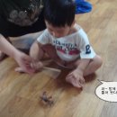 오야붕 Daum카페