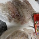 말봉바다낚시터 | 시흥드림바다실내낚시터 다녀온 후기~