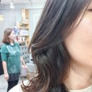 슈보헤어 이미지