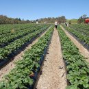 임금농장 이미지