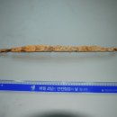 신라 태양광발전소 이미지